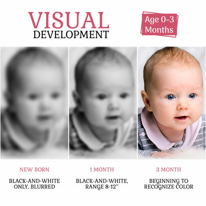 Black and White Flash Cards for Infant Babies for Age 0-6 Months image 1