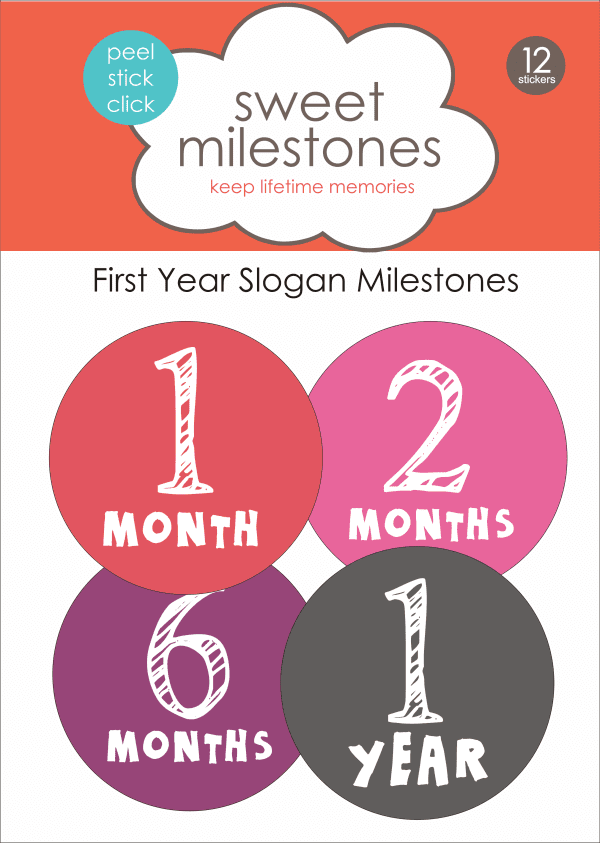 Baby Milestone Monthly Stickers Chalk Theme