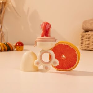 Laalan Paalan Baby Fruit Pacifier